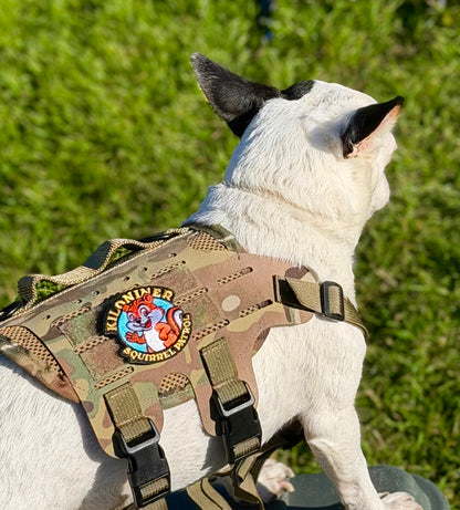Kiloniner Squirrel Patrol Morale Patch