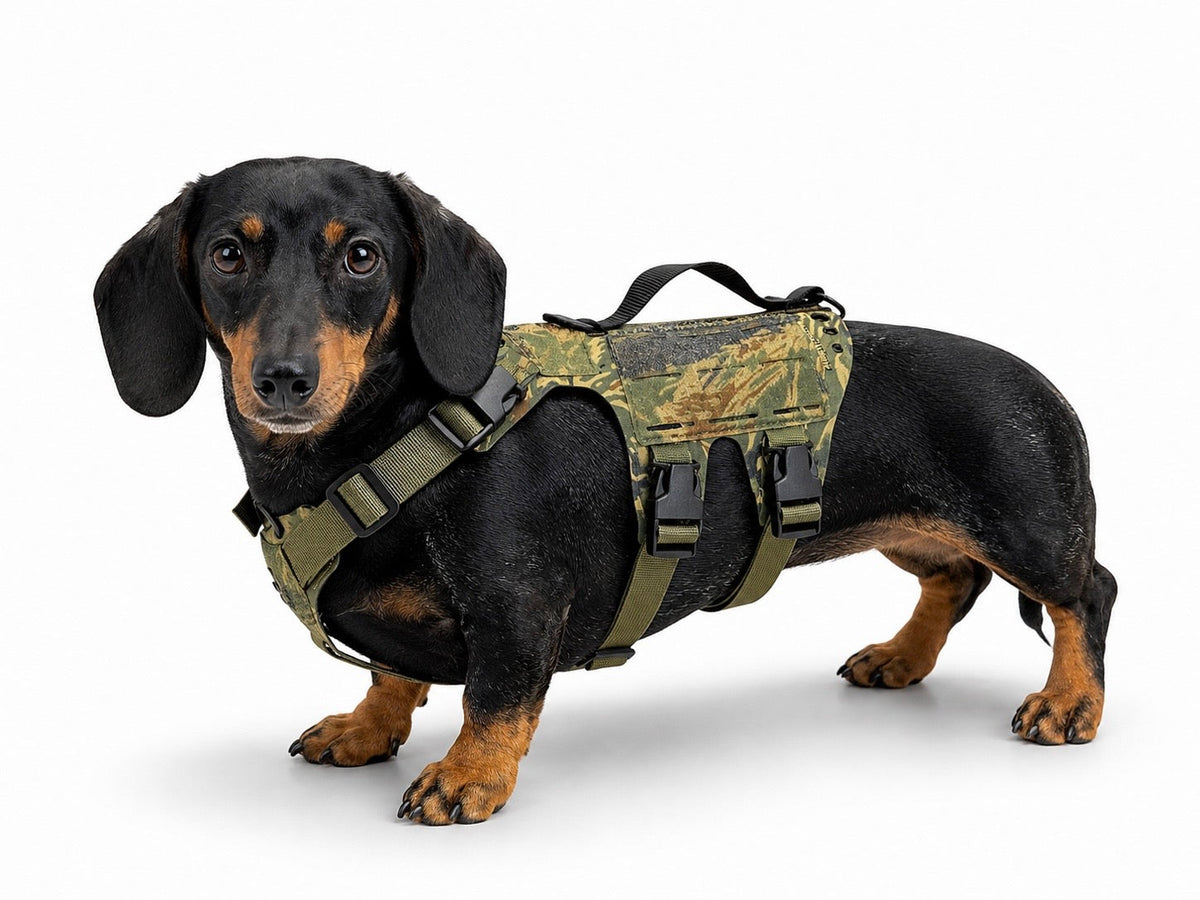 K9R - D5 MOLLE Light Harness