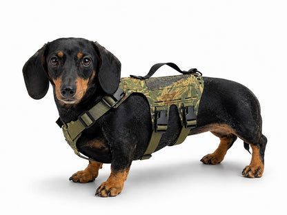 K9R - D5 MOLLE Light Harness