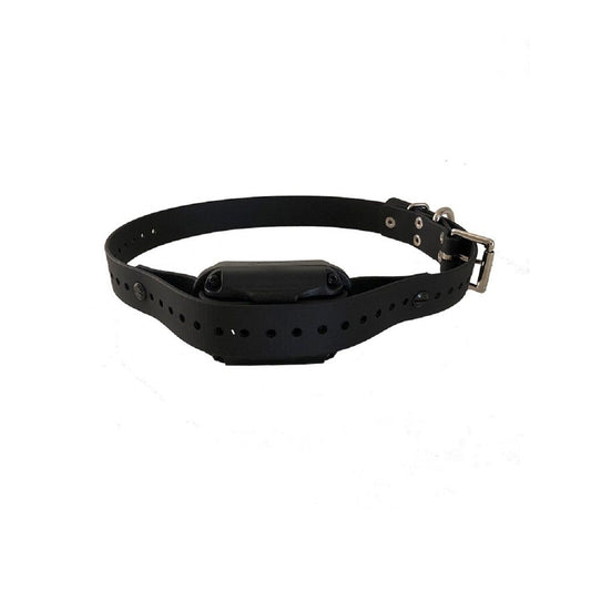 Educator Collars Hide A Mini Strap