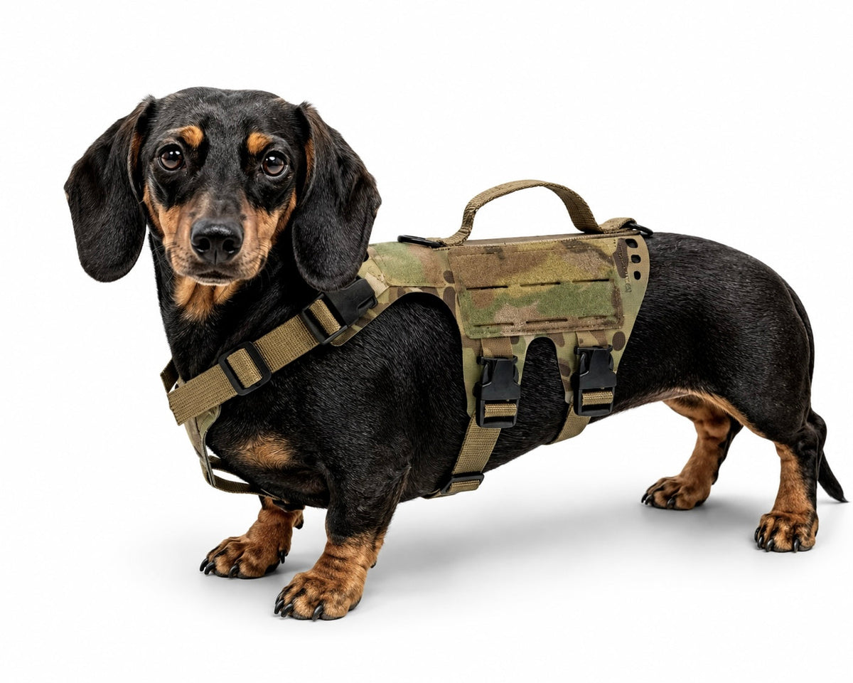 K9R - D5 MOLLE Light Harness