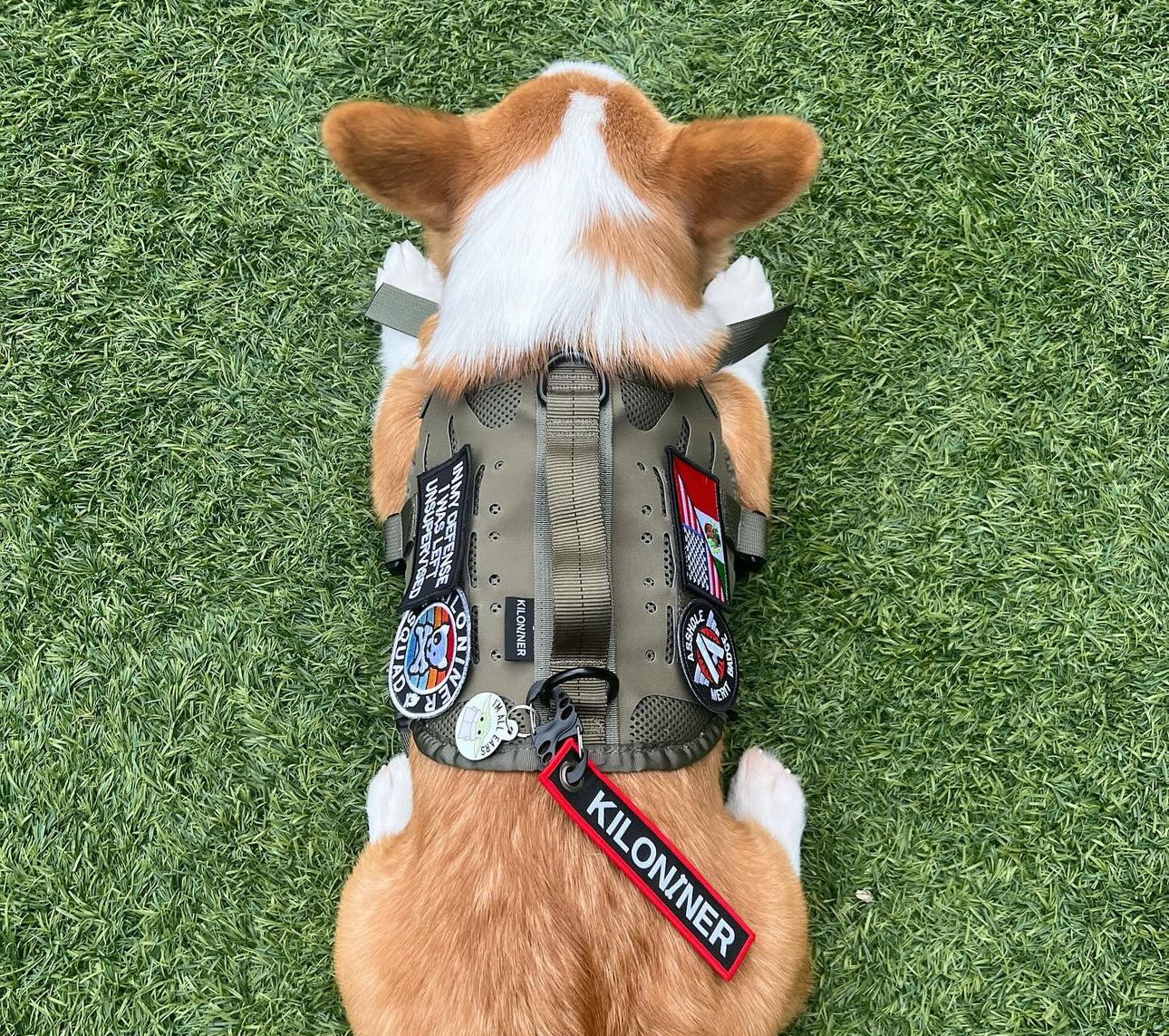 Key Chain Tag - Remove Before Poop