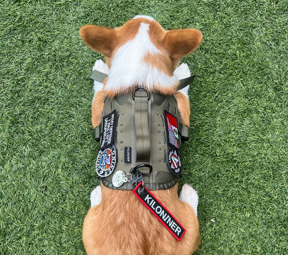 Key Chain Tag - Remove Before Poop