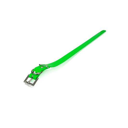 Dogtra Strap 1"X24" Green