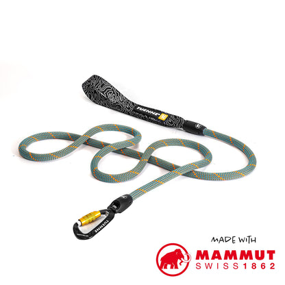 Tuenne Customizable Dog Leash