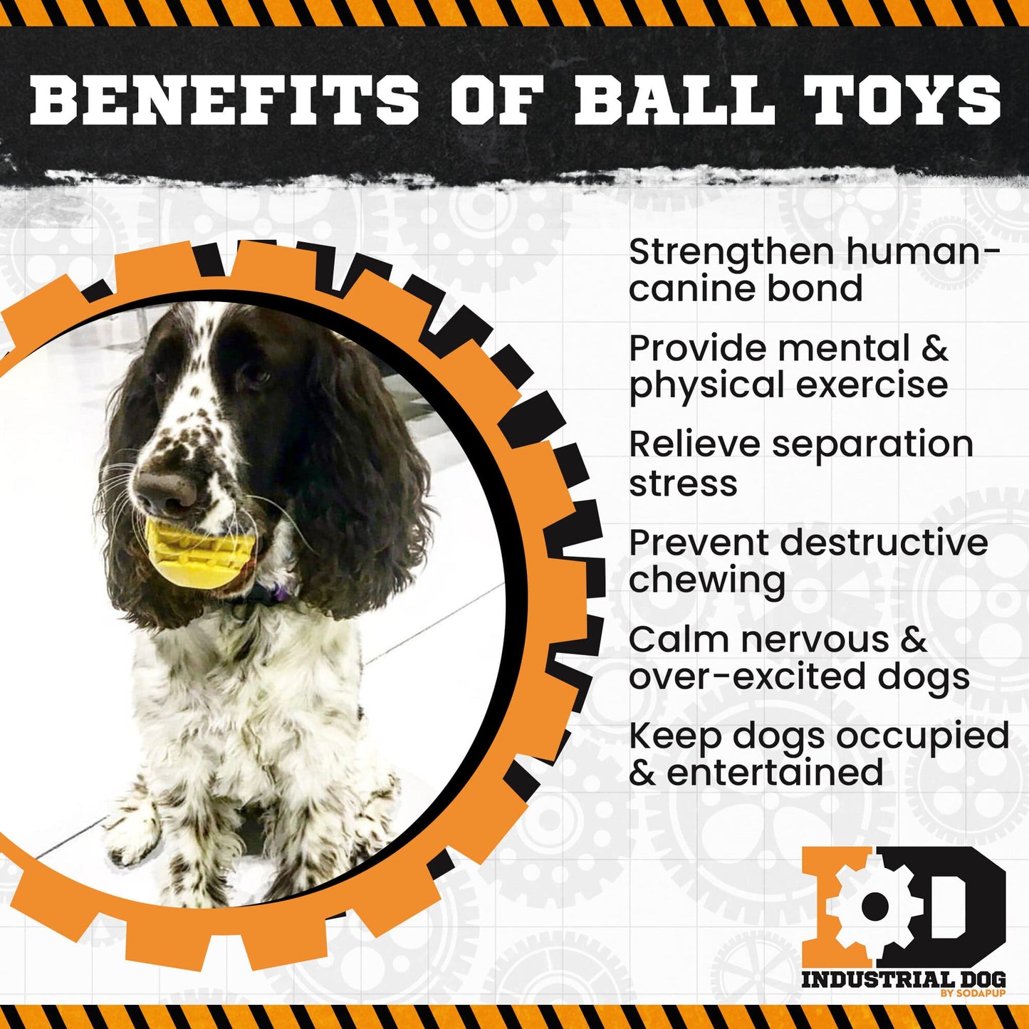 ID Ball Durable Rubber Chew Ball