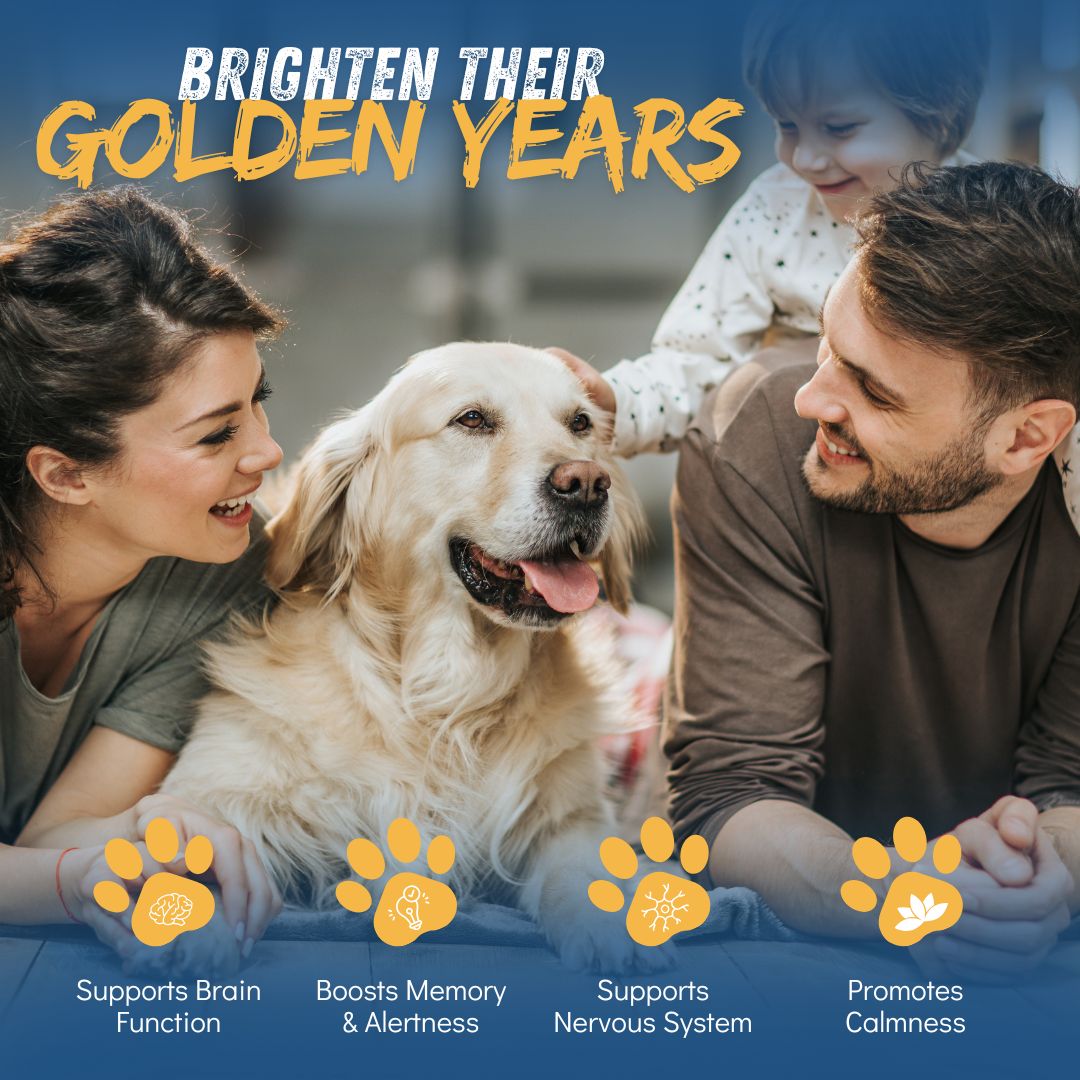 CogniCaps - Canine Cognitive Function Supplement for Dogs