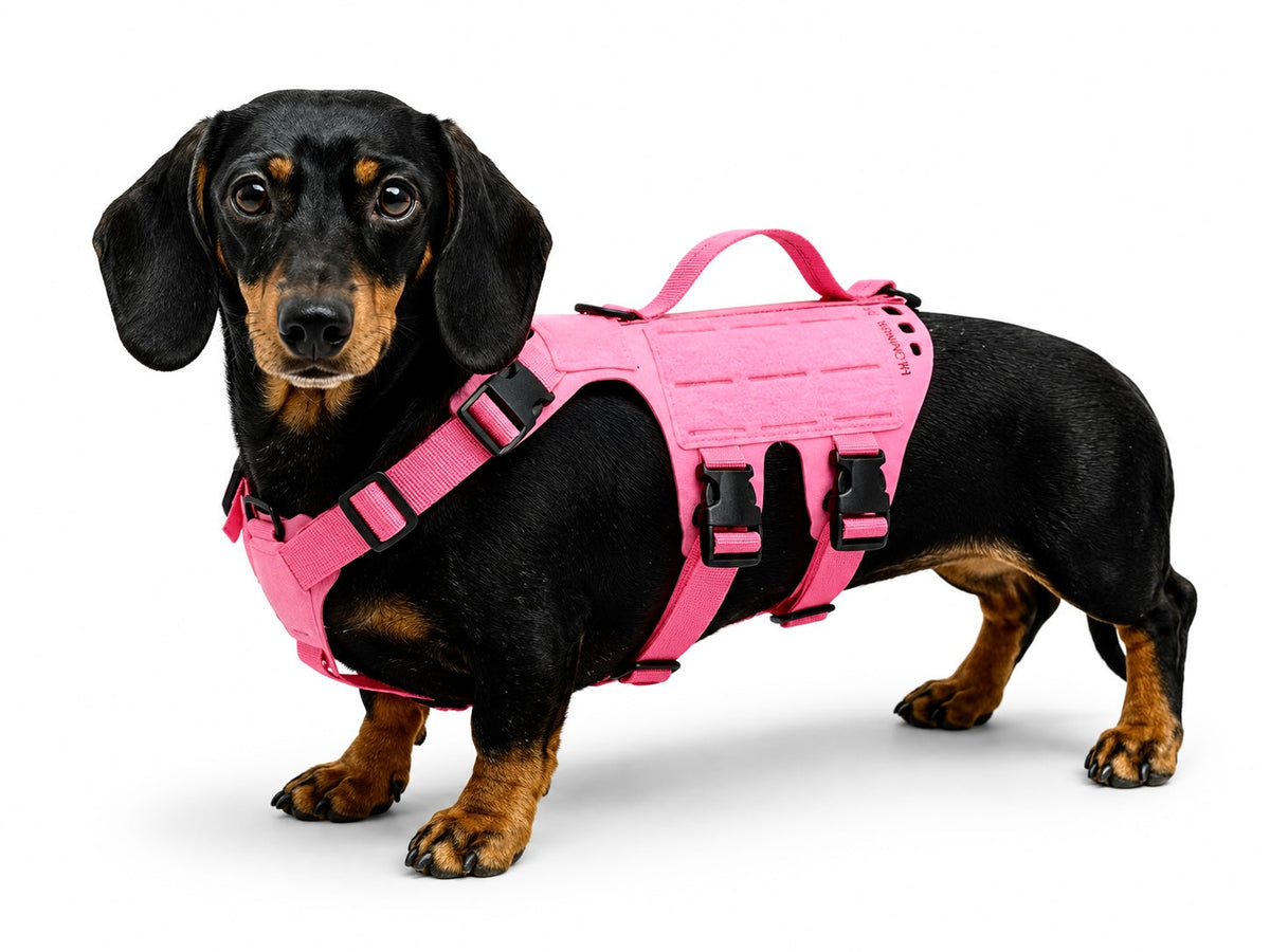 K9R - D5 MOLLE Light Harness
