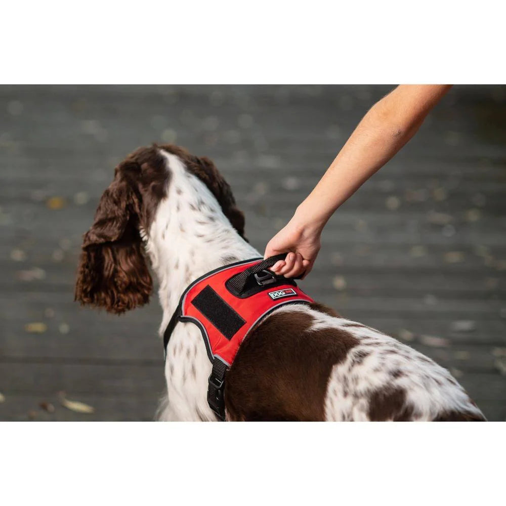 Dogline Quest Multi-Purpose No Pull Dog Harness