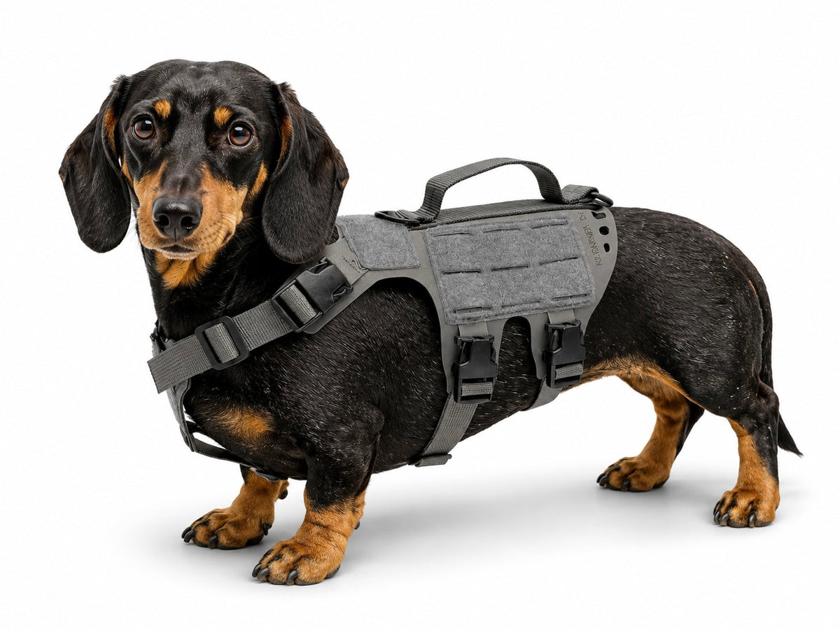 K9R - D5 MOLLE Light Harness
