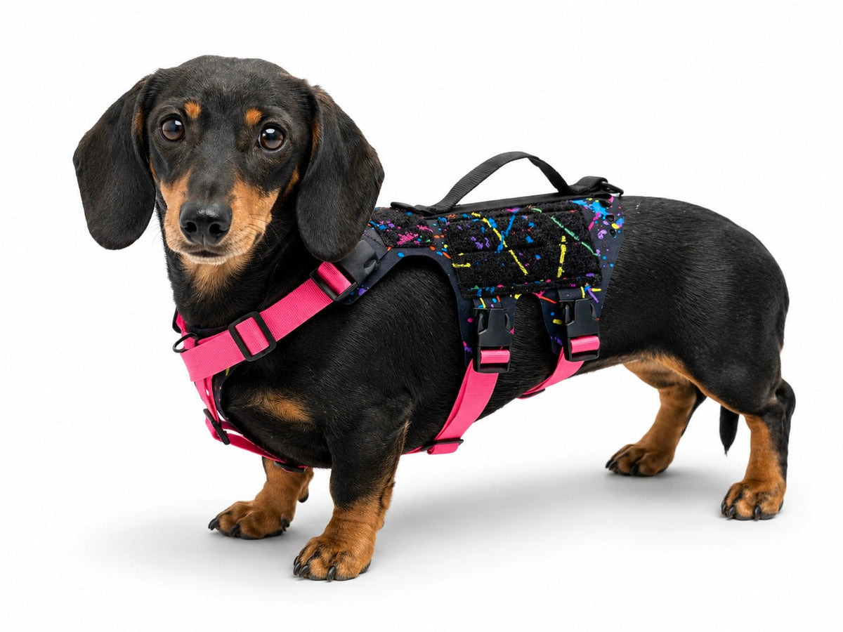 K9R - D5 MOLLE Light Harness