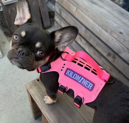 KILONINER STENCIL Pink Purple Morale Patch
