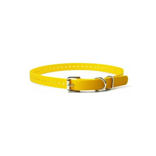 Educator Collars 1" Biothane Buckle Strap