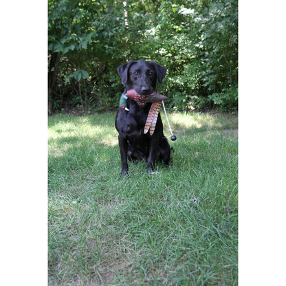 HuntEmUp Ultimate Pheasant Dog Training Dummy – Realistic Pheasant Retriever Training Dummy with Throw Rope