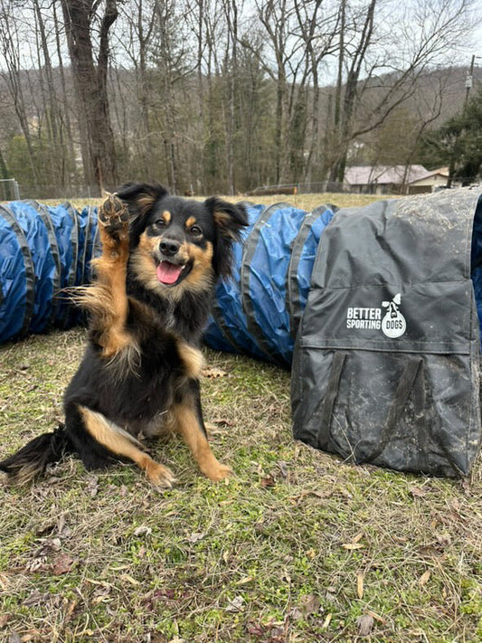 Heavy Duty PVC Tunnel with Sandbags (16 ft)