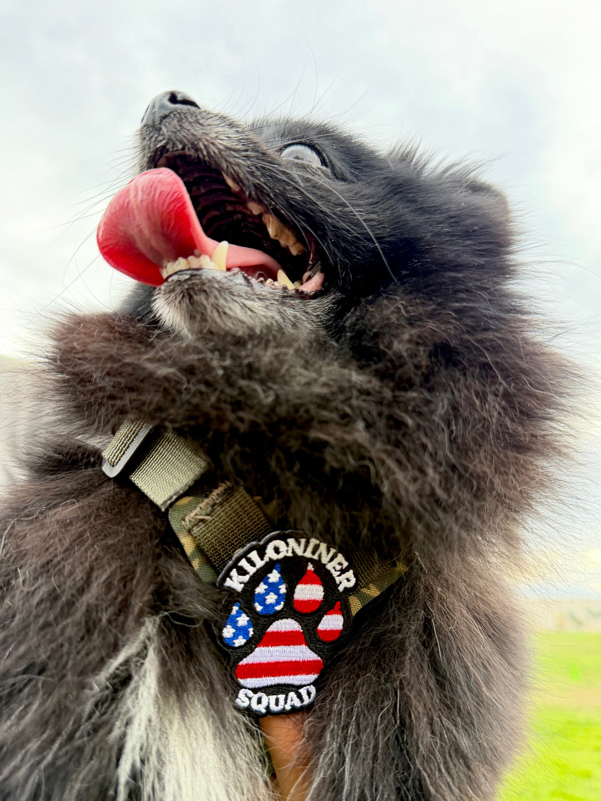 Kiloniner Paw Squad Morale Patch
