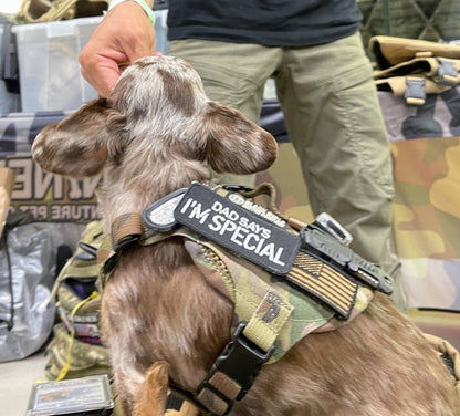 DAD SAYS I’M SPECIAL Morale Patch