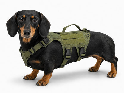 K9R - D5 MOLLE Light Harness