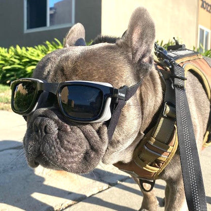 Kiloniner W1 Eye Defender Goggles