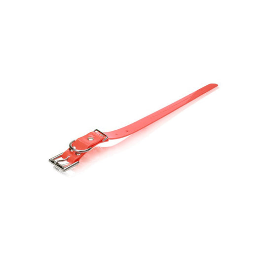 Dogtra Strap 1"X24" T&B MODELS Orange