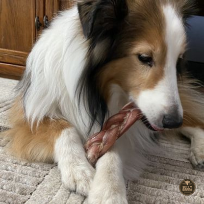 Bully Bunches 6 Inch Thick Braided Bully Stick
