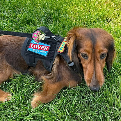I'm a Lover not a Biter Morale Patch