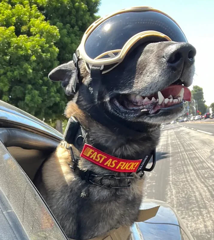 Fast as F#%k Embroidered Morale Patch