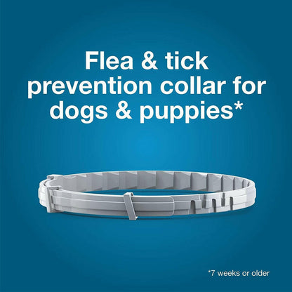Seresto Flea & Tick Collar for Dogs, over 18 lbs + Flea & Tick Collar for Dogs, up to 18 lbs