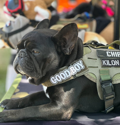 Good Boy Morale Patch