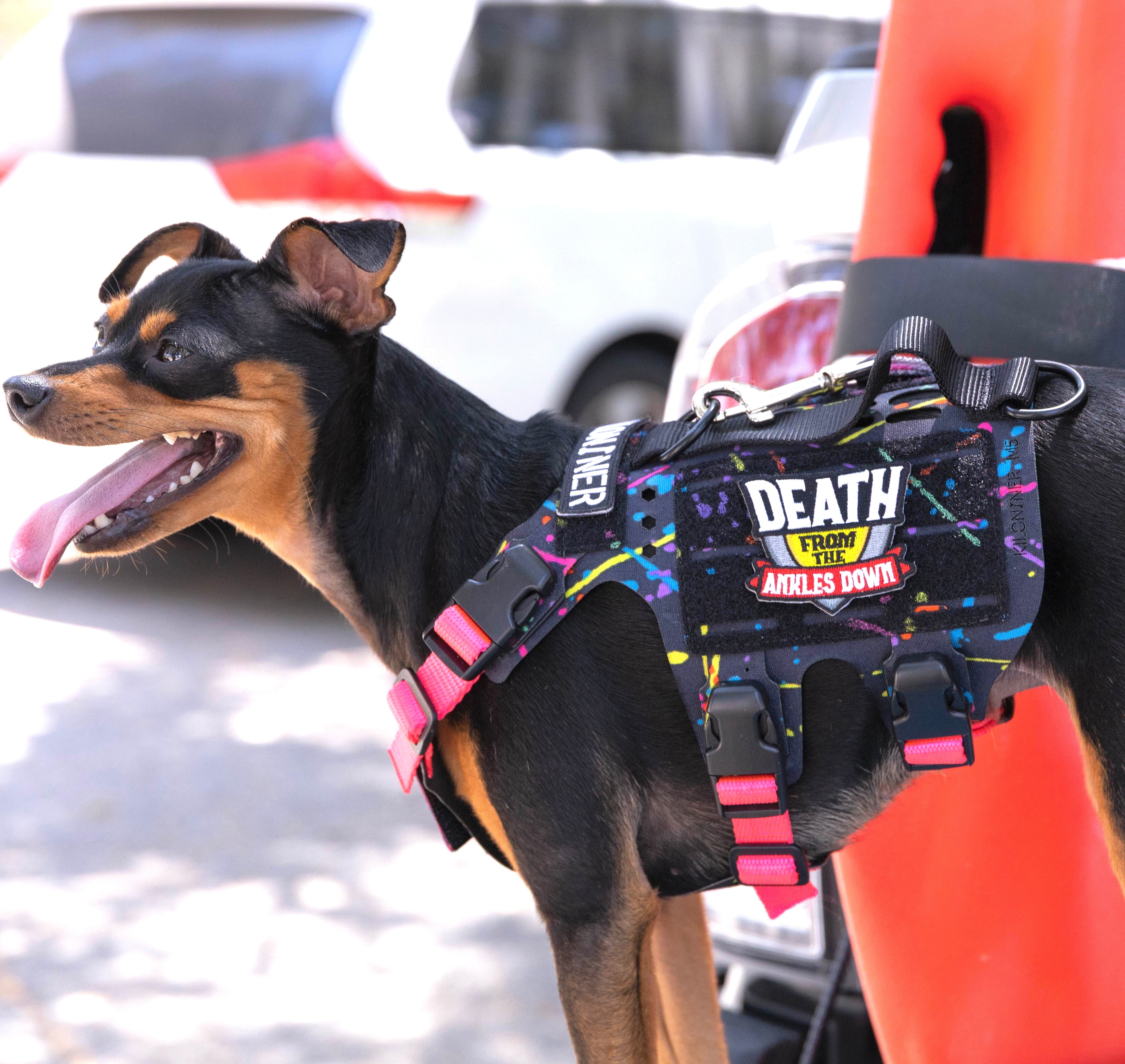 Kiloniner K9R - M5 MOLLE Light Vest – BlueCollar Working Dog