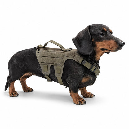 K9R - D5 MOLLE Light Harness