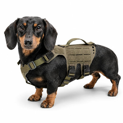 K9R - D5 MOLLE Light Harness
