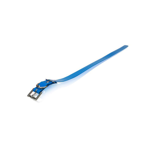 Dogtra Strap 1"X30" Blue