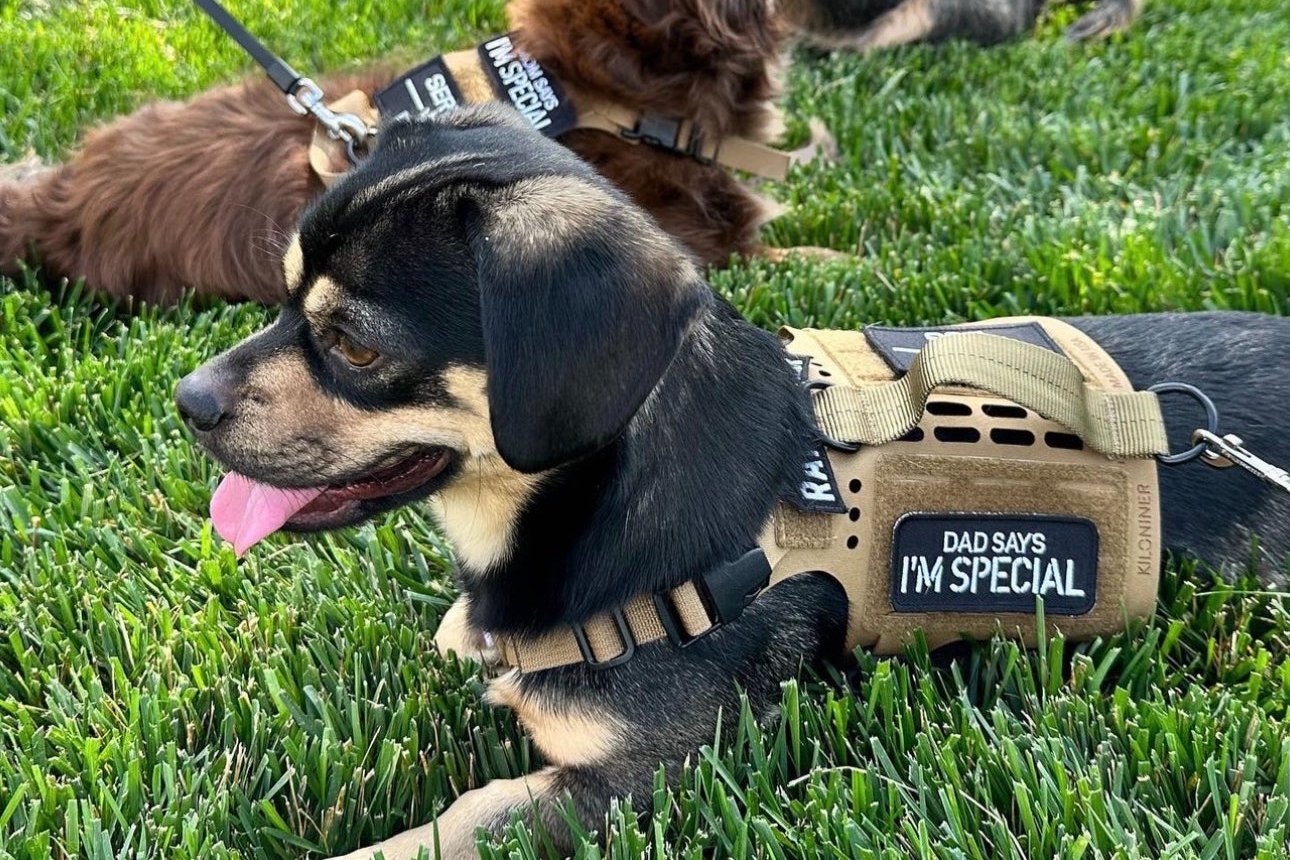 DAD SAYS I’M SPECIAL Morale Patch