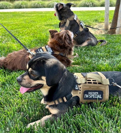 DAD SAYS I’M SPECIAL Morale Patch