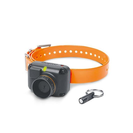 Dogtra STB Beeper Collar