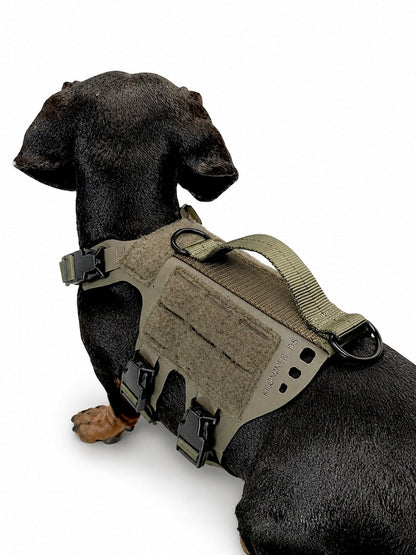 K9R - D5 MOLLE Light Harness