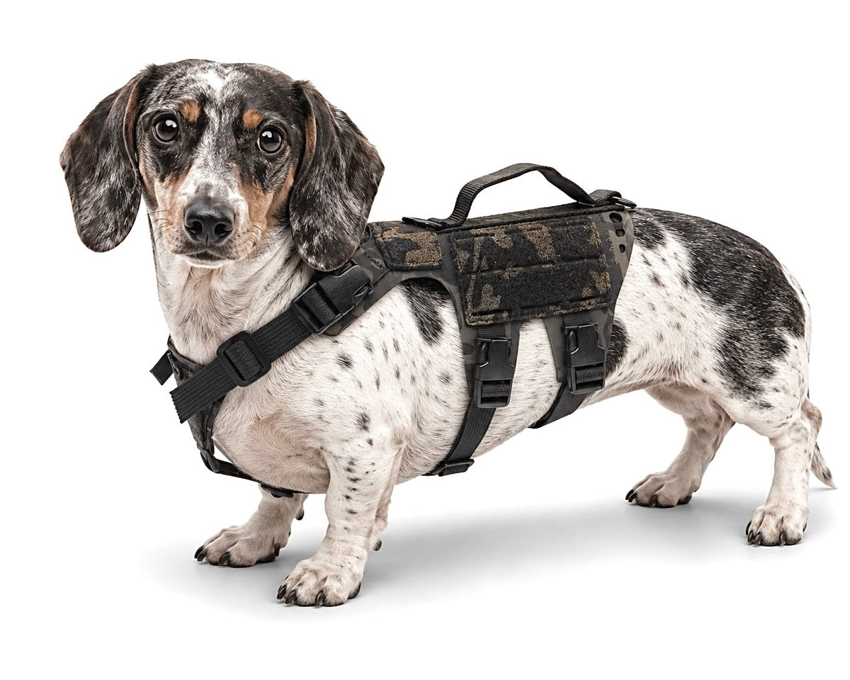 K9R - D5 MOLLE Light Harness