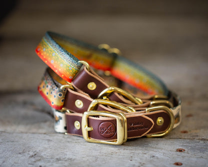 Whiskey Leather Works Freshwater Dog Collars