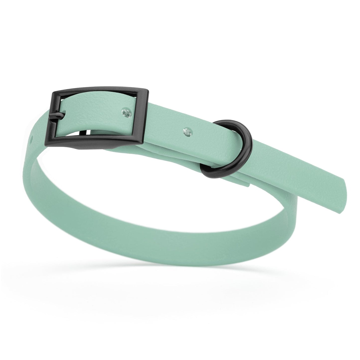 BioThane Waterproof Dog Collar - XS: L 12"-15" x W 5/8" - Black OR Brass Hardware