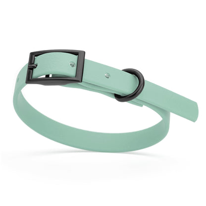 BioThane Waterproof Dog Collar - XS: L 12"-15" x W 5/8" - Black OR Brass Hardware