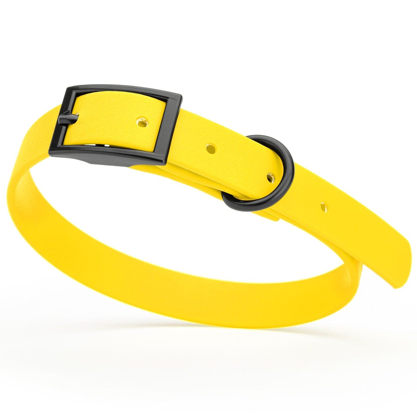 BioThane Waterproof Dog Collar - XS: L 9"-12" x W 1/2" - Black OR Brass Hardware