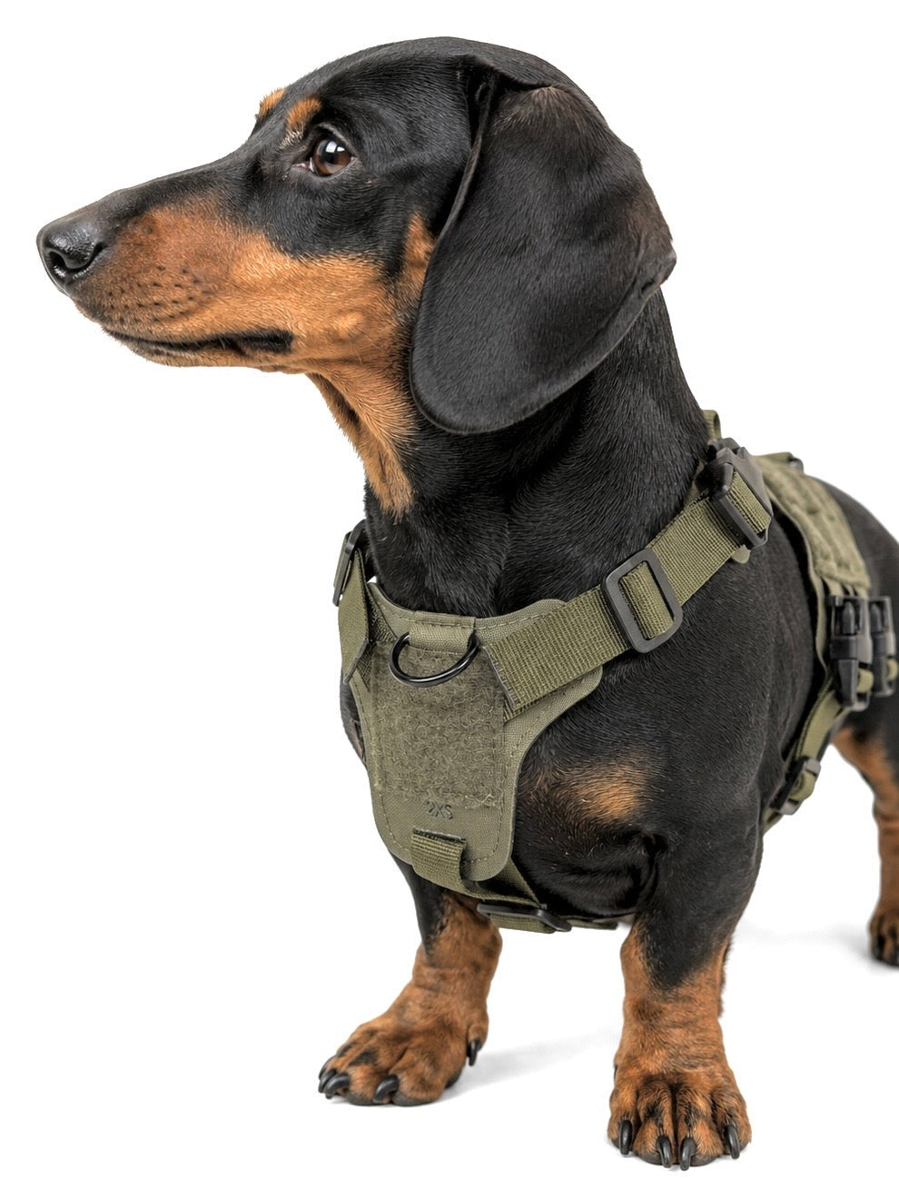 K9R - D5 MOLLE Light Harness
