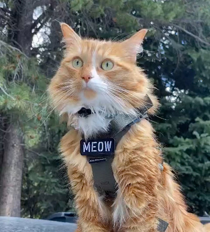 MEOW Morale Patch