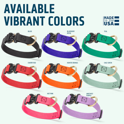 Dogline Pebble Emboss BioThane Dog Collar with Heavy Duty Cobra Buckle