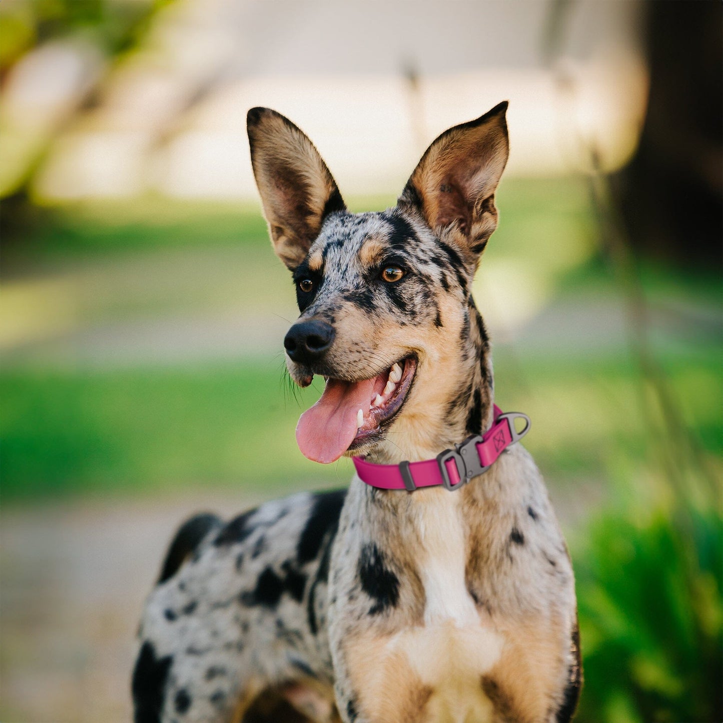 Dogline BioThane Dog Collar with Stab-Lock Quick Release Buckle