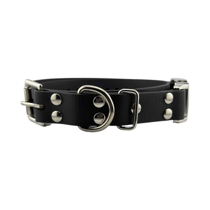 E-Collar Technologies 1" Quick Snap Biothane Collar Strap