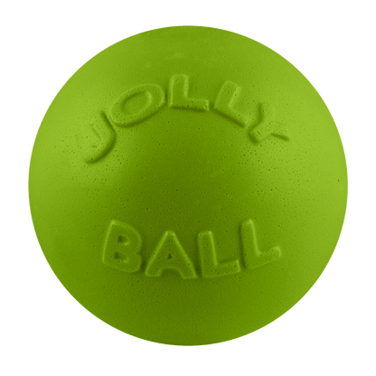 Jolly Pets Bounce-n-Play