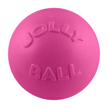 Jolly Pets Bounce-n-Play