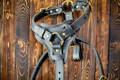 Brown Bear Leather Agitation Harness